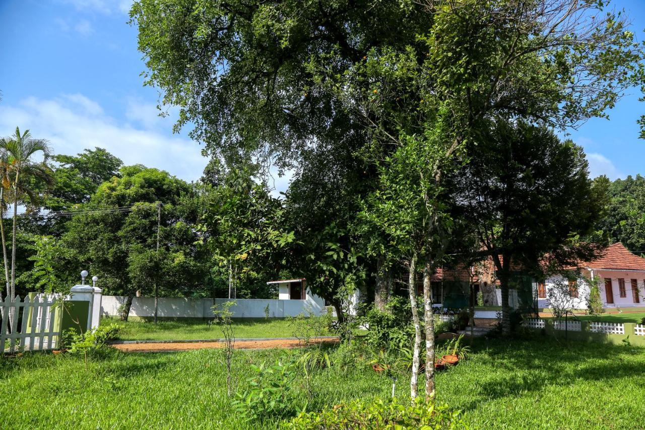 Akkara Homestay & Ayurveda Kottayam Exterior photo